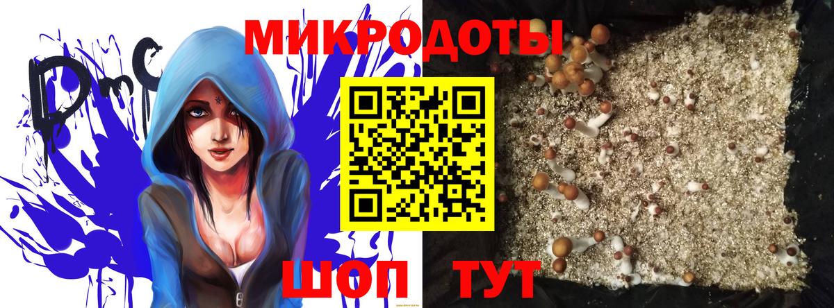 Свободный  Галлюциногенные грибы GOLDEN TEACHER  Вход с VPN 