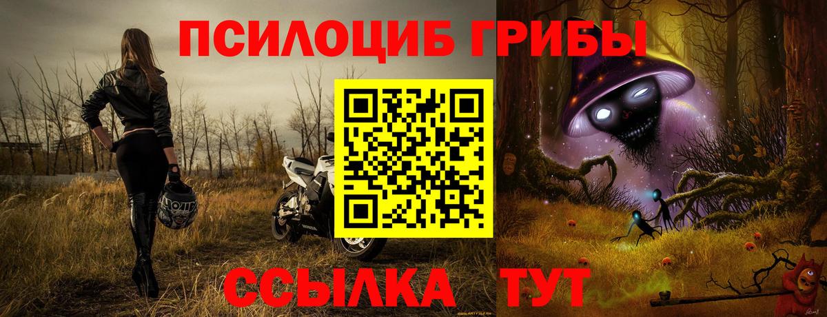 Галлюциногенные грибы прущие грибы Свободный
